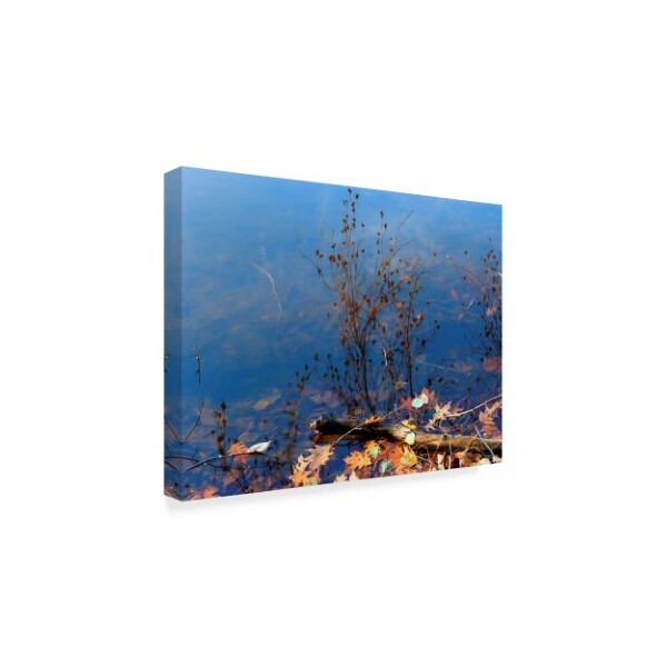 Anthony Paladino 'Trout Pond Autumn' Canvas Art,18x24